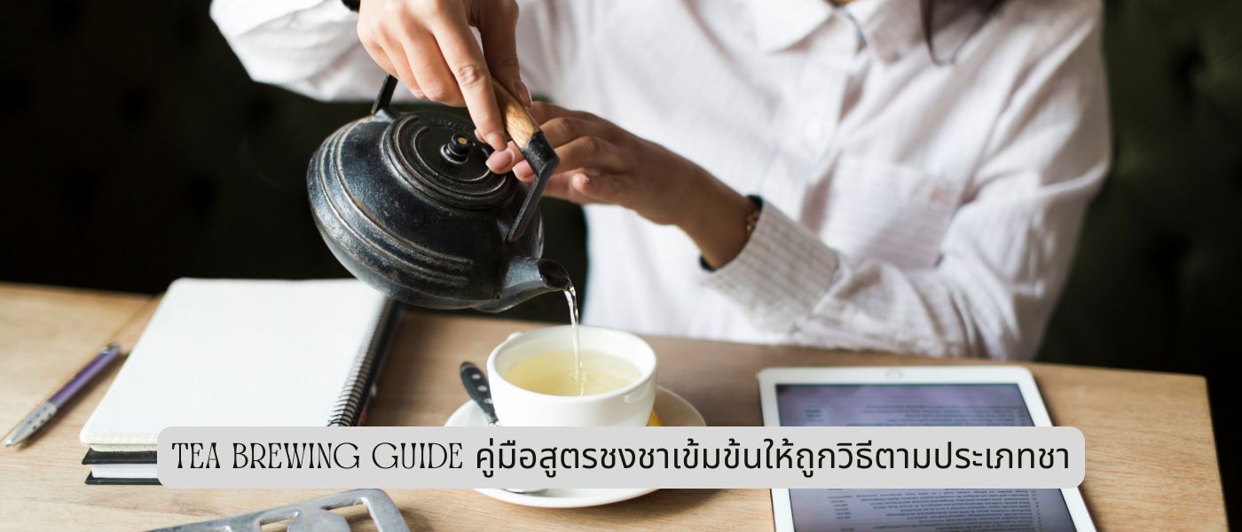 Tea Brewing Guide คู่มือสูตรชงชาเข้มข้นให้ถูกวิธีตามประเภทชา